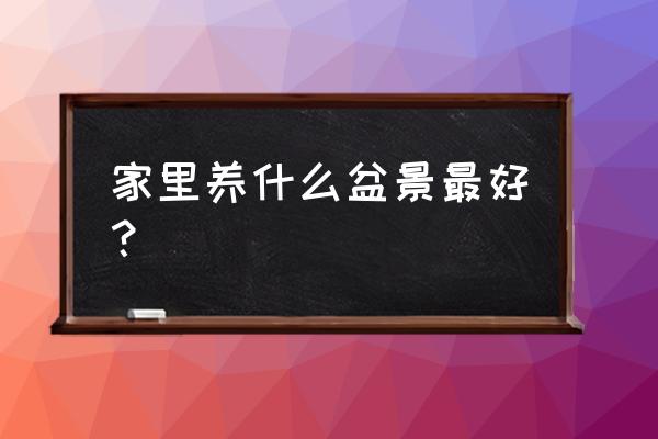 哪种土最好 家里养什么盆景最好？