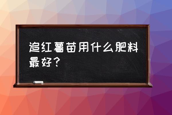 红薯施什么肥料最好 追红薯苗用什么肥料最好？