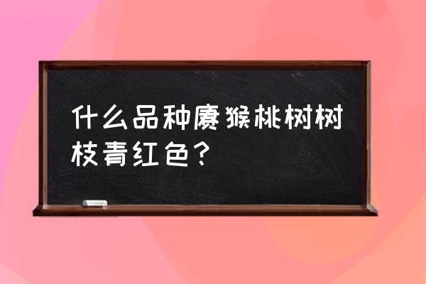 研究表明红心猕猴桃功效作用 什么品种猕猴桃树树枝青红色？