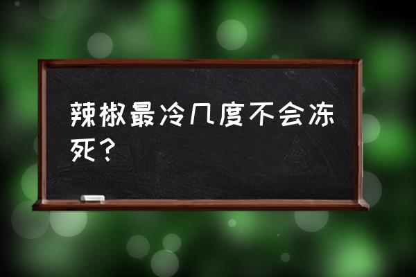 辣椒种子15度温度几天可发芽 辣椒最冷几度不会冻死？