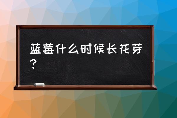 蓝莓几年结果 蓝莓什么时候长花芽？