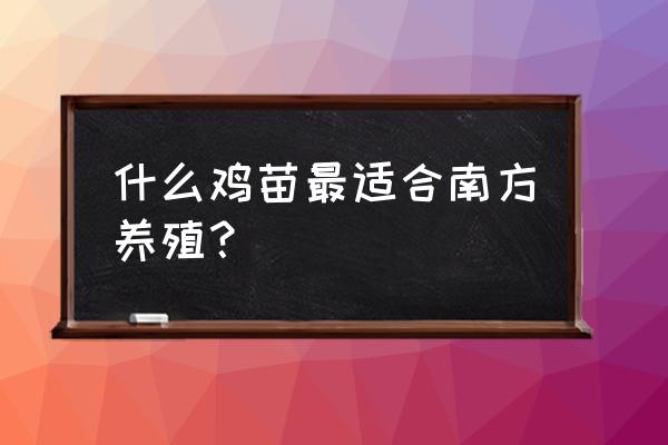 什么鸡苗又好养又长得快 什么鸡苗最适合南方养殖？