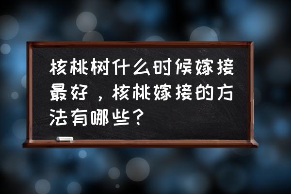 几月嫁接核桃树最好 核桃树什么时候嫁接最好，核桃嫁接的方法有哪些？