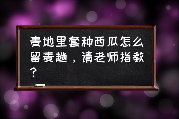 西瓜灰霉病与霜霉病区别 麦地里套种西瓜怎么留麦趟，请老师指教？