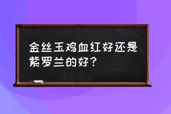 紫罗兰玉石鉴别最简单方法 金丝玉鸡血红好还是紫罗兰的好？