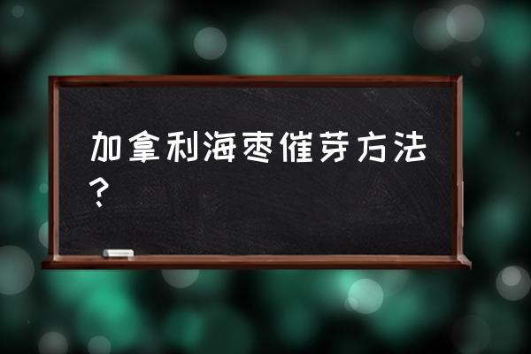 冬枣育苗的时间与方法 加拿利海枣催芽方法？