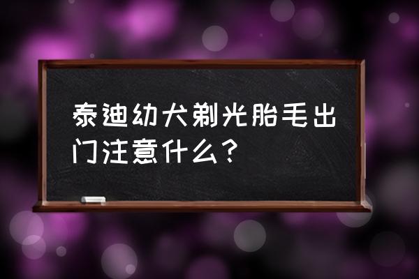 泰迪剃光毛之后需要注意什么 泰迪幼犬剃光胎毛出门注意什么？