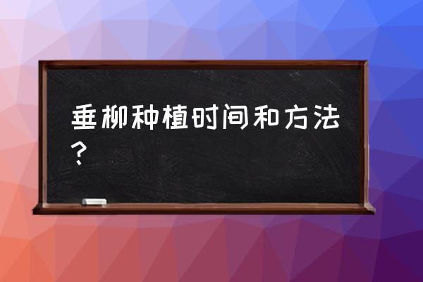 柳树苗的育苗时间 垂柳种植时间和方法？