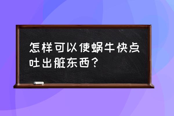 怎么找蜗牛最好的方法 怎样可以使蜗牛快点吐出脏东西？