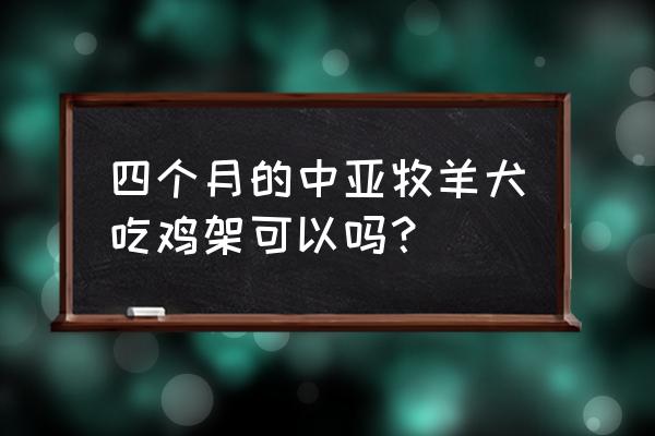 牧羊犬吃什么便宜 四个月的中亚牧羊犬吃鸡架可以吗？