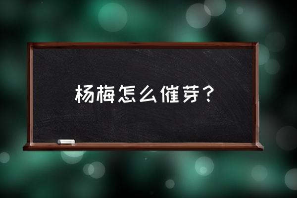 吃剩的杨梅籽怎么才能发芽 杨梅怎么催芽？