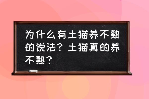 为什么田园猫不喜欢被抱 为什么有土猫养不熟的说法？土猫真的养不熟？