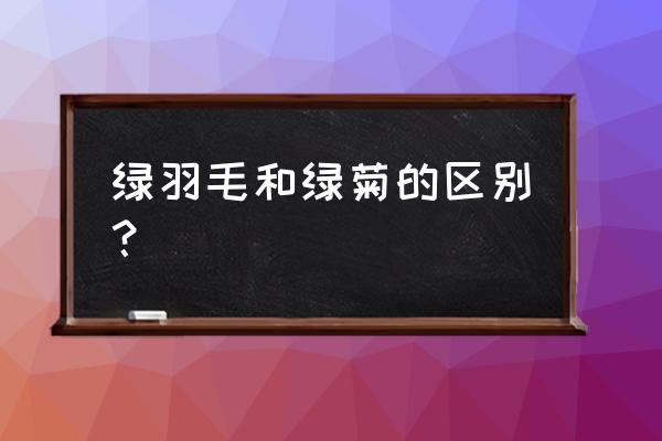 什么兰寿最好养又肥 绿羽毛和绿菊的区别？