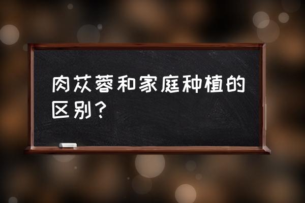 肉苁蓉怎么栽种 肉苁蓉和家庭种植的区别？