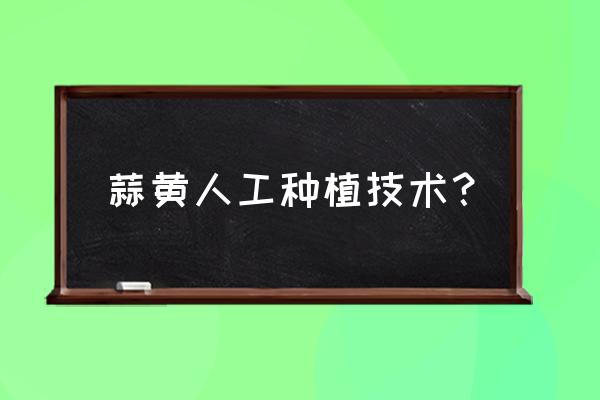 怎样养蒜黄长得又快又好 蒜黄人工种植技术？