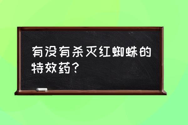 消灭红蜘蛛的小妙招 有没有杀灭红蜘蛛的特效药？