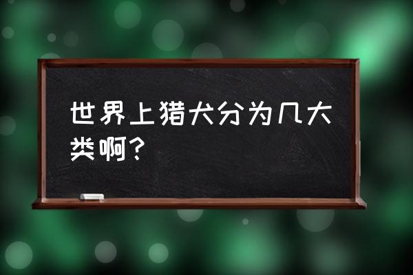 影响波音达猎犬寿命的五大因素 世界上猎犬分为几大类啊？