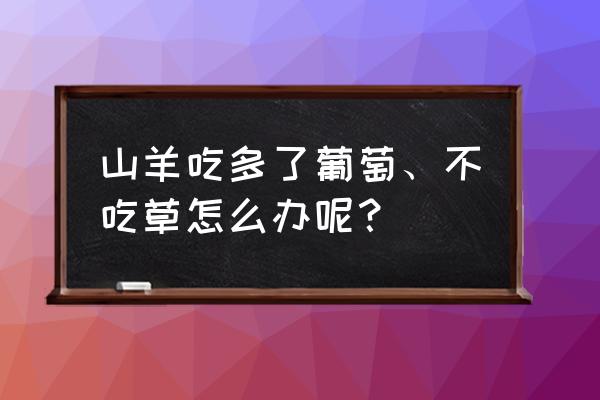 羊痘为什么越治越严重 山羊吃多了葡萄、不吃草怎么办呢？