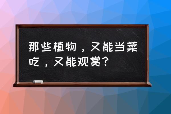 适合家庭一起吃的四种菜 那些植物，又能当菜吃，又能观赏？