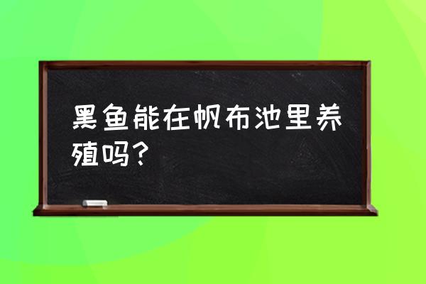 生鱼养殖技术和方法 黑鱼能在帆布池里养殖吗？