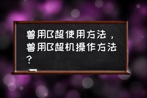 给羊做b超的机器多少钱一台 兽用B超使用方法，兽用B超机操作方法？