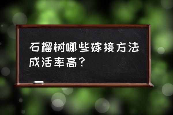 石榴扦插正确方法 石榴树哪些嫁接方法成活率高？