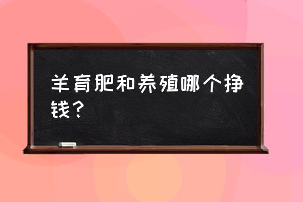 养个羊游戏最新攻略 羊育肥和养殖哪个挣钱？