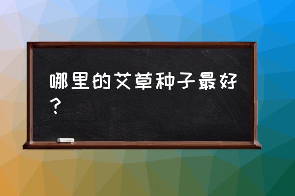 艾草什么时候结种子 哪里的艾草种子最好？