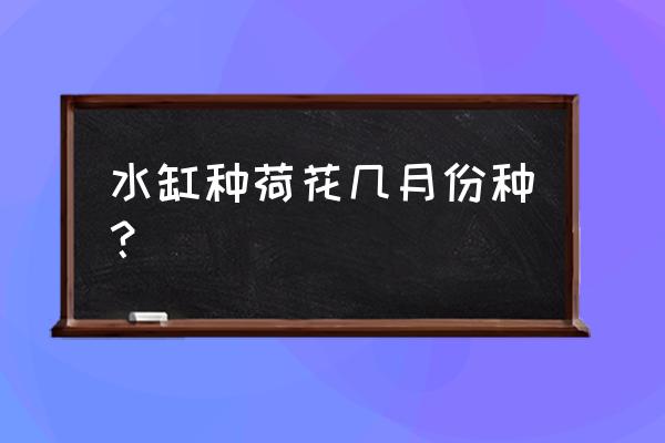 种藕最佳时间和方法 水缸种荷花几月份种？