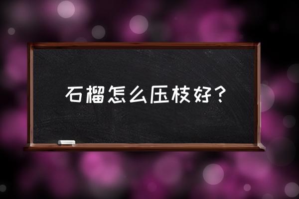 石榴老枝挂果还是新枝挂果 石榴怎么压枝好？