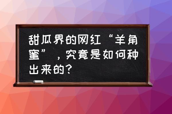 甜瓜怎么育苗最快最好 甜瓜界的网红“羊角蜜”，究竟是如何种出来的？