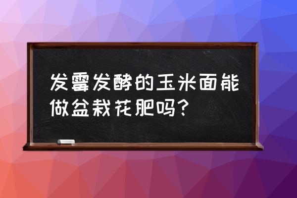 如何把霉变玉米粉弄成肥料 发霉发酵的玉米面能做盆栽花肥吗？