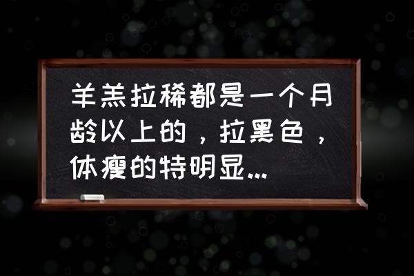 羊羔拉稀水最快解决方法 羊羔拉稀都是一个月龄以上的，拉黑色，体瘦的特明显，最后起身费劲？