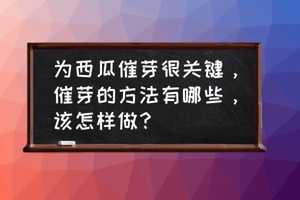 西瓜子怎么种植发芽 为西瓜催芽很关键，催芽的方法有哪些，该怎样做？