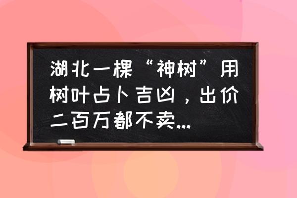 金手指病害图片大全 湖北一棵“神树”用树叶占卜吉凶，出价二百万都不卖，怎么回事？