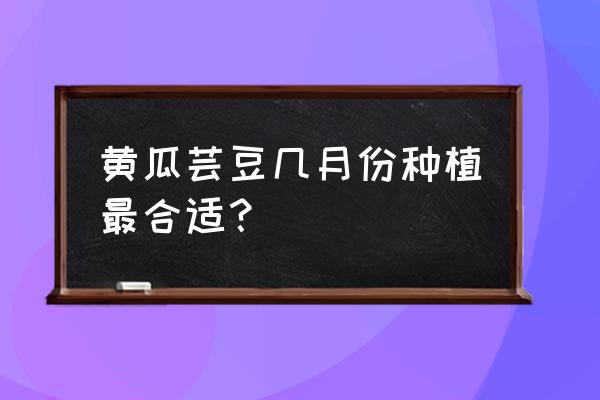 几月种黄瓜豆角最好 黄瓜芸豆几月份种植最合适？