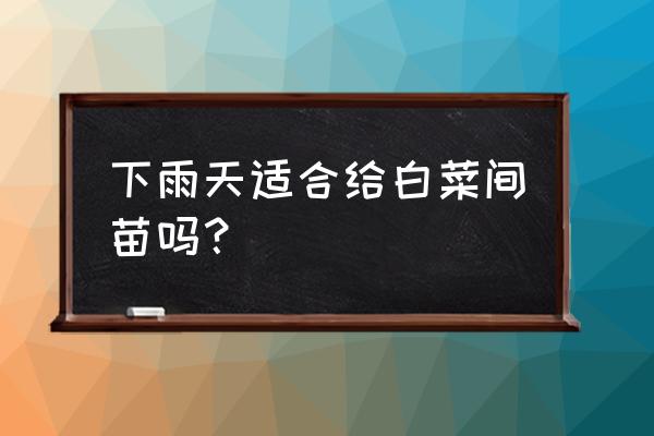 白菜撒草木灰最佳时间 下雨天适合给白菜间苗吗？