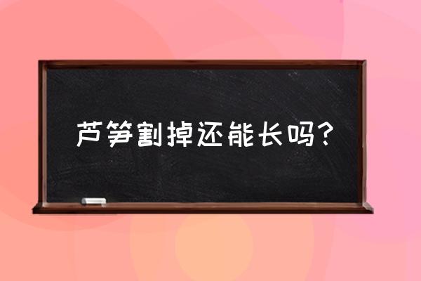 芦笋多久可以收获 芦笋割掉还能长吗？