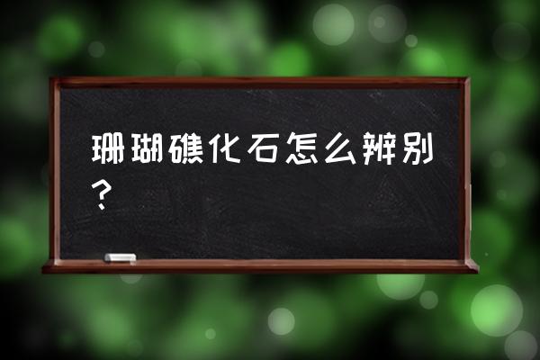 怎么辨别海竹染色的珊瑚 珊瑚礁化石怎么辨别？