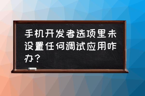 国内电脑开发者选项在哪里 手机开发者选项里未设置任何调试应用咋办？