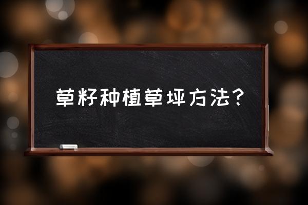 草坪种子什么季节播种最好 草籽种植草坪方法？