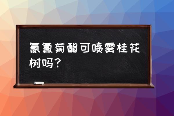 桂花树移栽怎么快速生根杀菌杀虫 氯氰菊酯可喷雾桂花树吗？