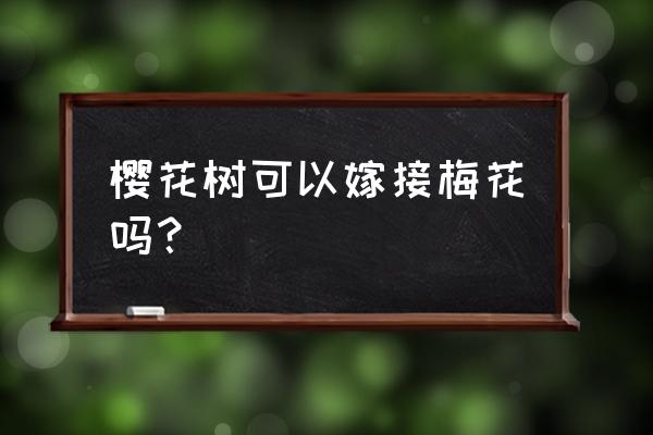 樱花的嫁接砧木什么最好 樱花树可以嫁接梅花吗？