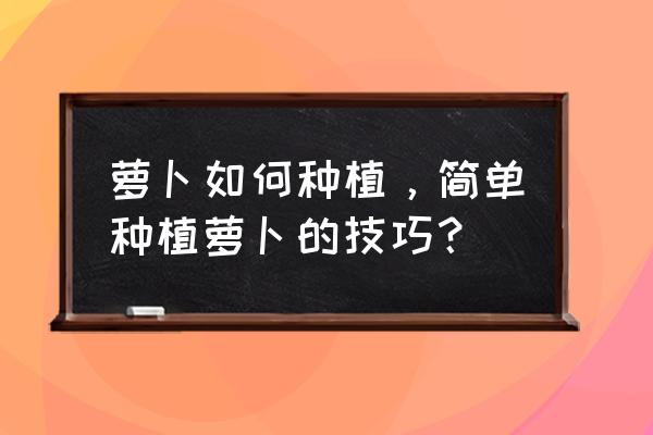 我的世界如何种萝卜 萝卜如何种植，简单种植萝卜的技巧？