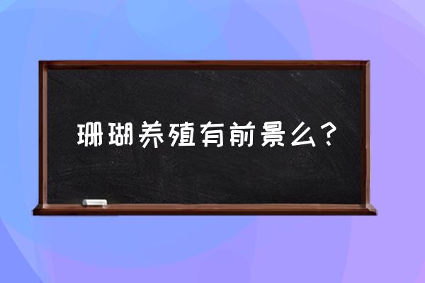 草珊瑚适合什么地方种 珊瑚养殖有前景么？