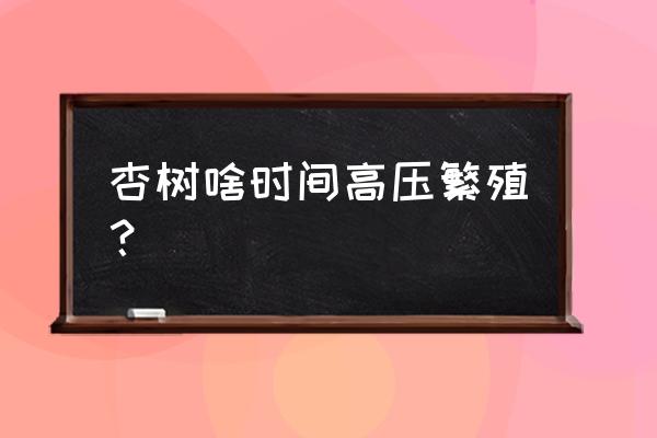 杏树怎么繁殖最快 杏树啥时间高压繁殖？