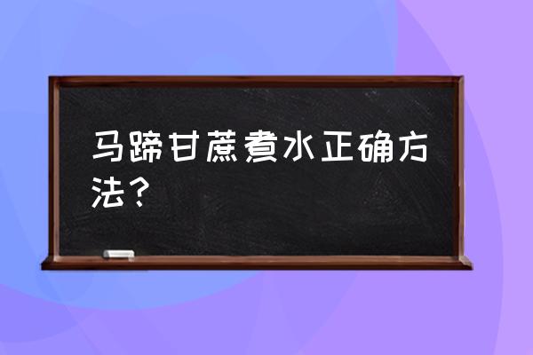 做甘蔗汁的方法 马蹄甘蔗煮水正确方法？