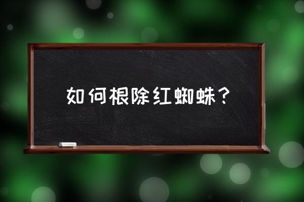 红蜘蛛消灭最好的方法 如何根除红蜘蛛？