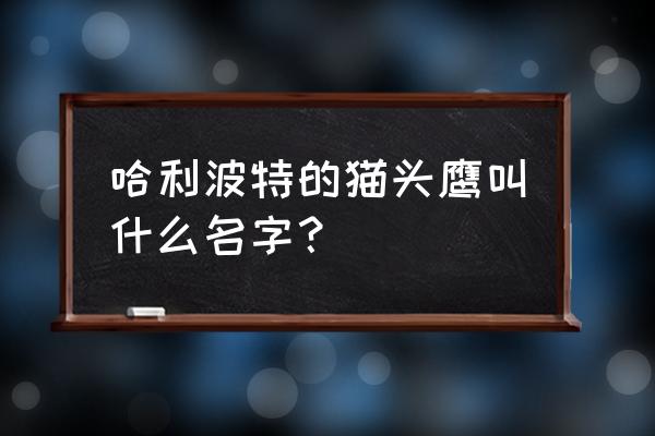 哈利波特手游猫头鹰叫什么 哈利波特的猫头鹰叫什么名字？