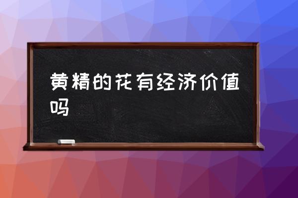 多花黄精图片与功效 黄精的花有经济价值吗